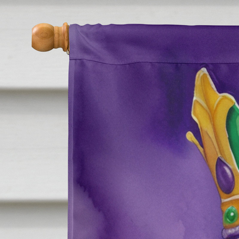 Double Sided 40'' H x 28'' W Polyester Mardi Gras House Flag