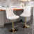 Beige sélectionné