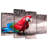 Brampt Brazilian Red Macaw