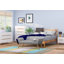 Cauley Upholstered Bench-25946832