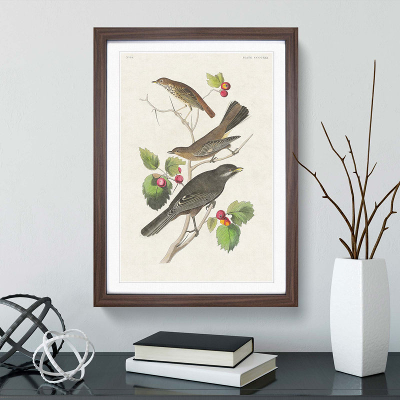 Selection of Birds by John Audubon - Picture Frame Painting Print, Walnut Framed, 48cm H x 36cm W x 2cm D