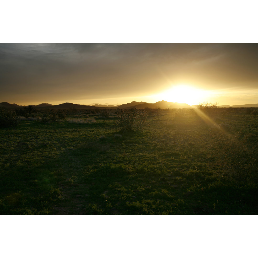 Drab Desert At Sunset von Fotofrog - Leinwandbild