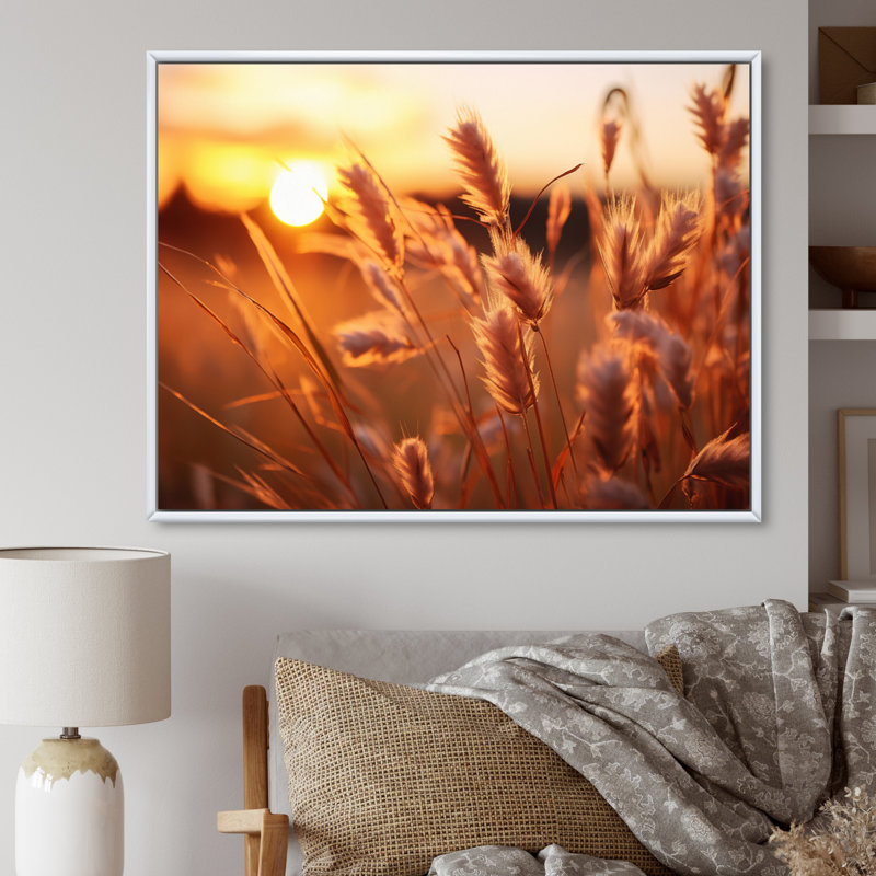 Champ de fleurs jaunes jaunes avec coucher de soleil II, Cadre flottant blanc, H 34 po x l 44 po x P 1,5 po