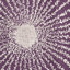 Tapis intérieur / extérieur abstrait mauve / ivoire Amier-1649468549