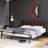 Euanthe Upholstered Bed-278082516-278082522