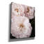 Toile épique Graffiti «Soft Pink Roses 2» par Debra Van Swearingen, 20 po x 24 po-490874945