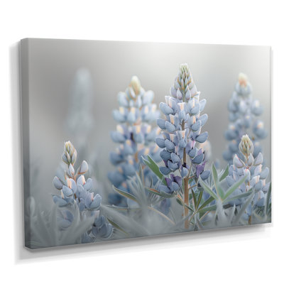 Liddel - Blue Bonnets, impression d'art mural
