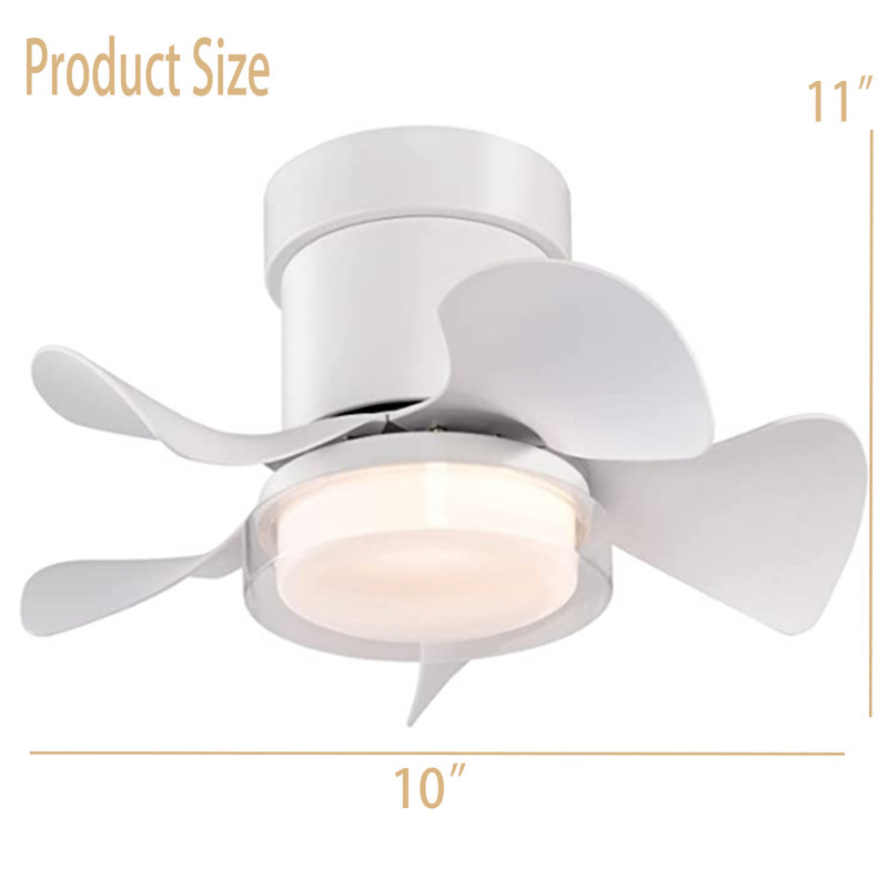 Hayde Ceiling Fan with LED Lights, White