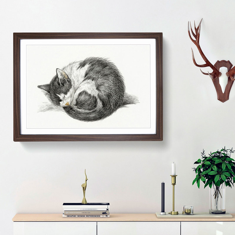 A Curled Cat by Jean Bernard - Framed Print, Walnut Framed, 45cm H x 63cm W x 2cm D