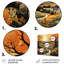 «Countryside Autumn Orchards Painted II», paysages d'art mural en métal-903833854