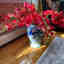 Photos des clients 1 de 1