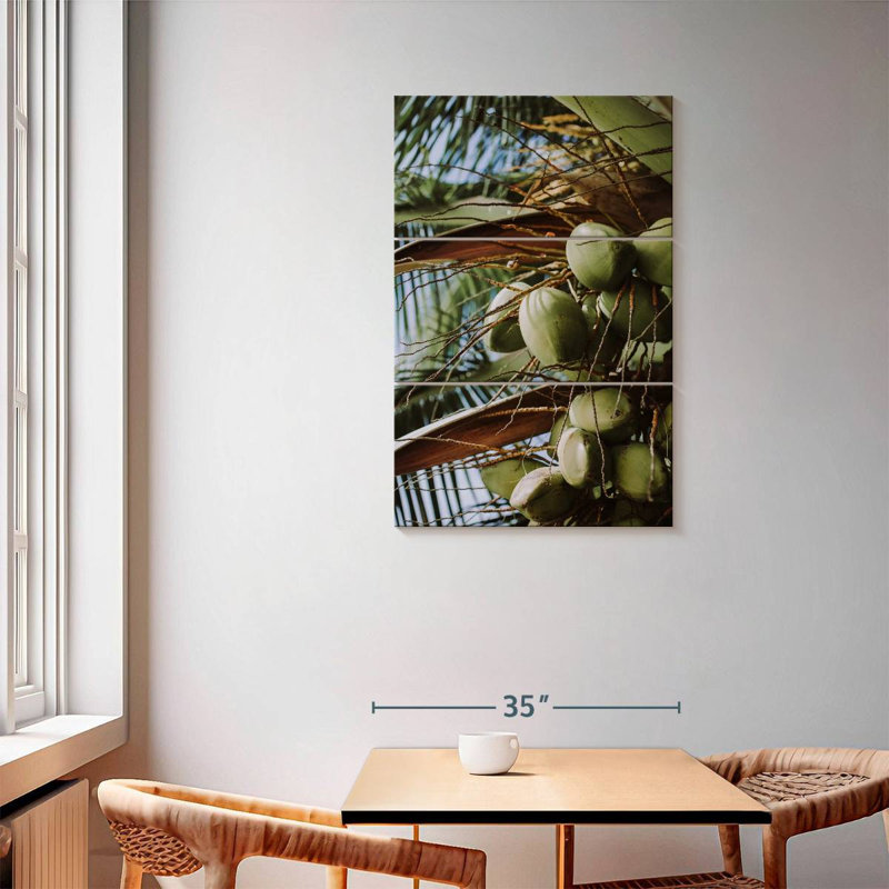 Harnek Fresh Coconuts, 57" H x 36" W
