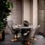 Dorland Upholstered Dining Chair
