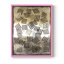 Raffia Palm I Framed Print - Solid Wood-1908018746-1908018745