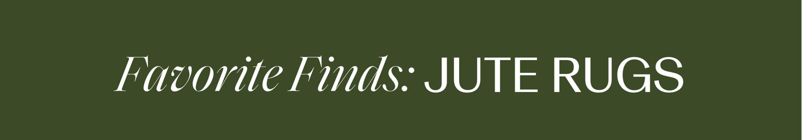  Favorite Finds: Jute Rugs