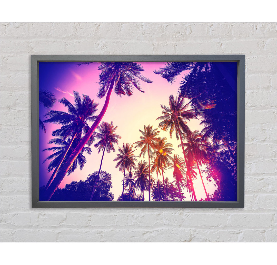 Palm Tree Glow - Einzelner Bilderrahmen Kunstdrucke auf Leinwand