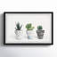«Succulent Trio II», reproduction encadrée-1739136325