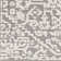 Oriental Indoor Rug