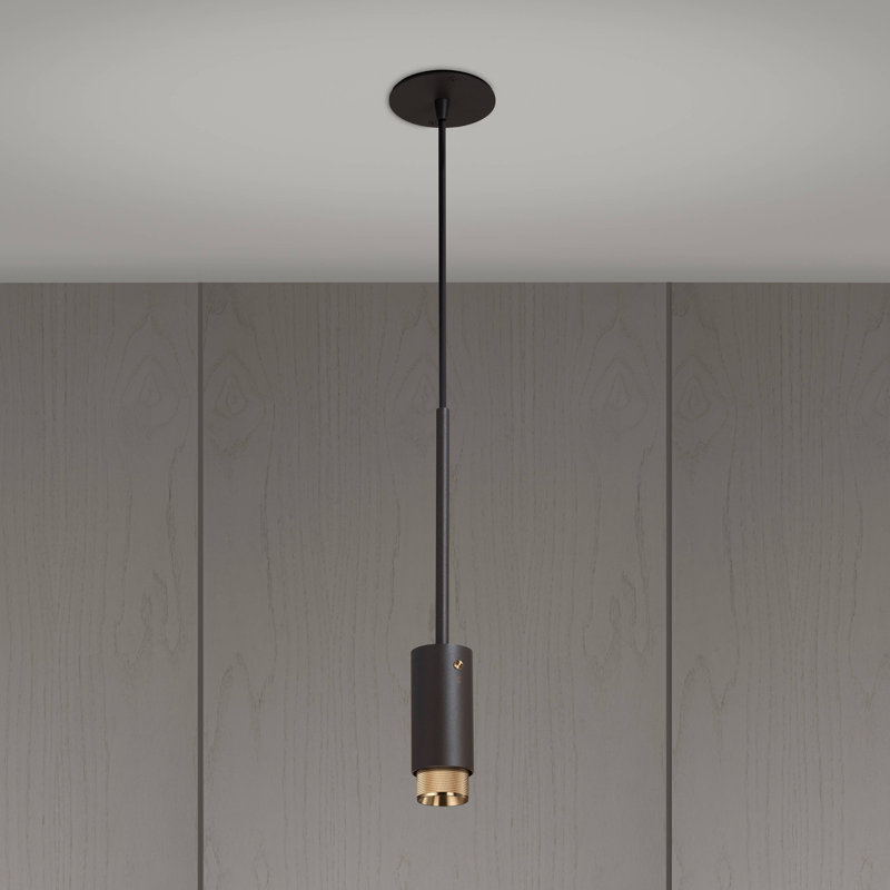 1 - Light Pendant, Brass, Graphite