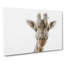 Curious Giraffe in Abstract - Wrapped Canvas-55313001