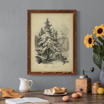 The Spruce - Reproduction de photo sur toile