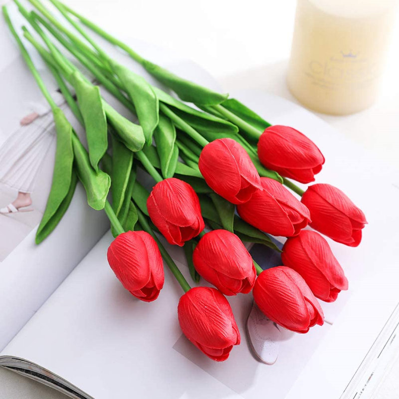 Tiges de tulipes, Rouge