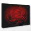 Flower Red Rose Photographic - Wrapped Canvas-19041431