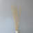 Seaford Willow Branches-737913346-737890572