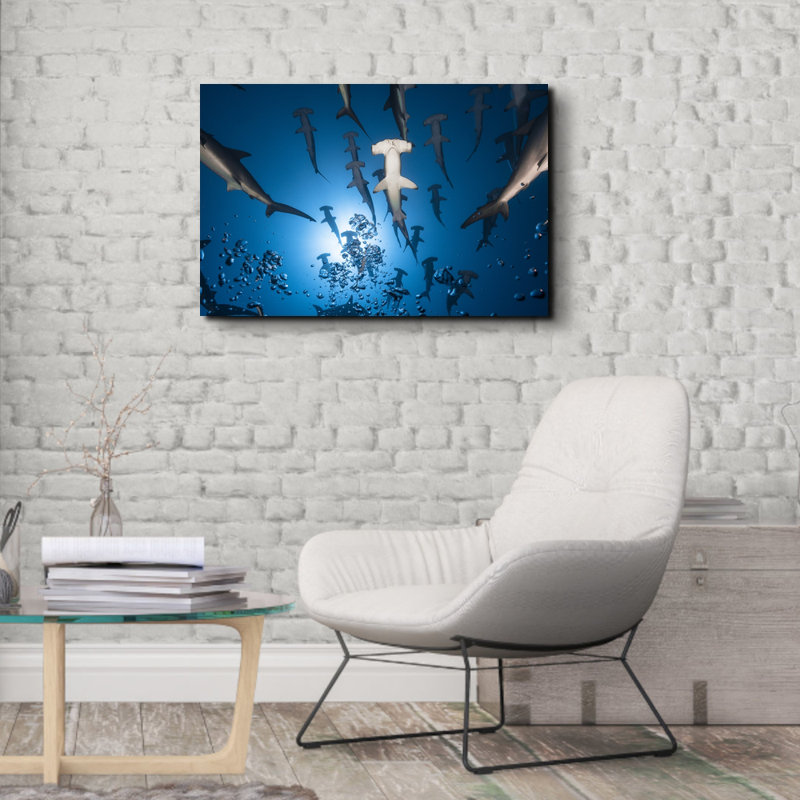 Reproduction de giclée sur toile tendue Hammerhead, H 26 po x l 32 po