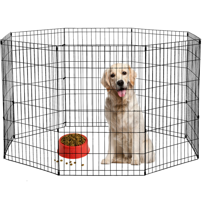 Parc pour enfants 8 chiots, clôture d'exercice pliable en métal pour chien, enclos intérieur et extérieur pour l'entraînement et aire de jeu sécuritaire