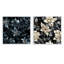 Totnes - Ensemble de 2 collages carrés botaniques abstraits-101848148-101848145