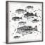 We Swim Together 1 Piece Single Picture Frame Painting-1817076635