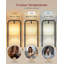 160.5 H cm Traditional Floor Lamp