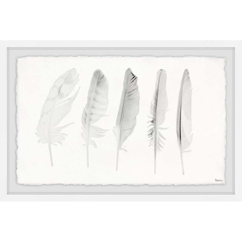 Five White Feathers II by Parvez Taj - Single Picture Frame Print, 61 cm H x 91 cm W x 4 cm D