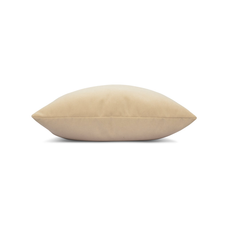 Lush Velvet Performance Pillow Cover & Insert, Papaya, Square
