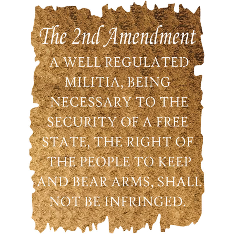 The 2Nd Amendment Wall Décor, Copper, 24" H x 18" W x 0.06" D
