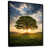 Black Floater Framed