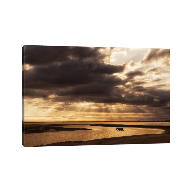 Water & Land IV by PHBurchett - Wrapped Canvas Painting, 20.32 cm H x 30.48 cm W