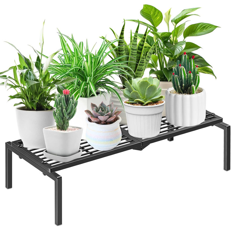 Plant Stand
