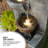 Jenilee Outdoor Fountain with Lights