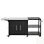 Chariot de barbecue extérieur 76,6 po avec comptoir en acier inoxydable et structure robuste