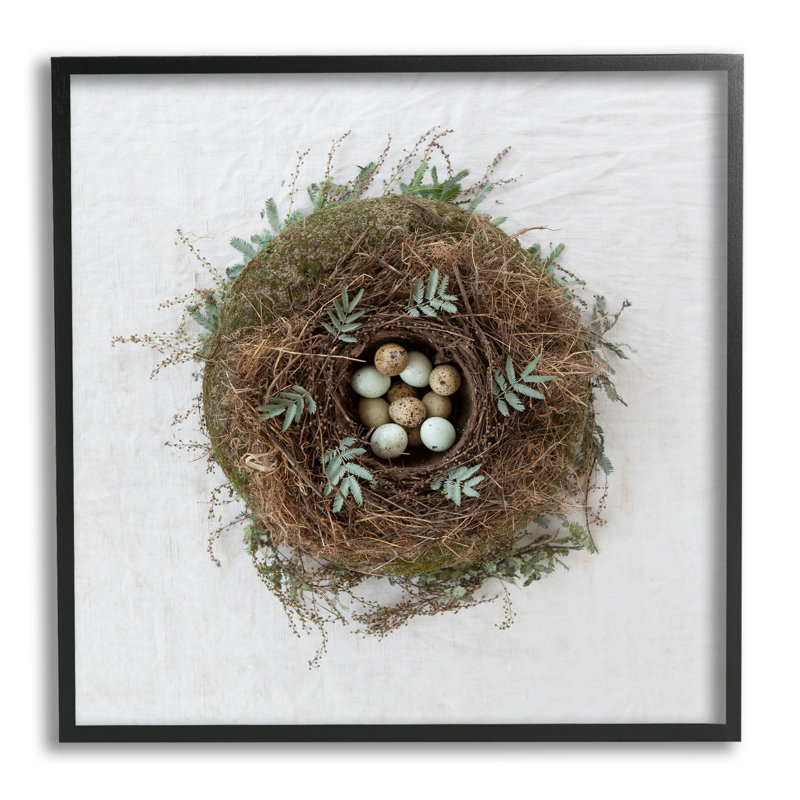 Nid d'oiseau paisible moucheté, Giclée encadrée noir minuit, H 12 po x l 12 po x P 1,5 po