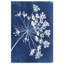 Queen Lace Print by Oliver Gal-965613116-965613513