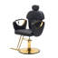Fauteuil de salon moderne pour salon de coiffure-1553100033-1553100060