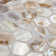 Conchella Hex Natural 11-1/2" x 11-5/8" Natural Shell Mosaic Wall Tile