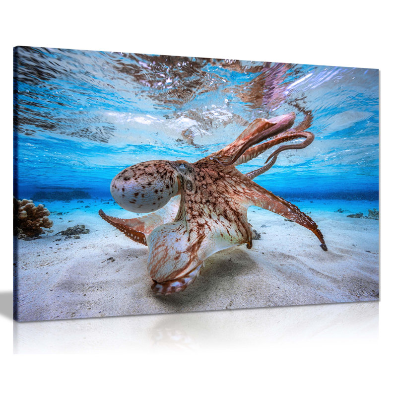 Dancing Octopus Underwater - Wrapped Canvas Print, 41cm H x 61cm W