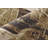 Rockett Modern Abstract Ivory Area Rug-1512553662