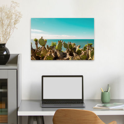 Cactus admirant l'océan - Paysages côtiers, photographie de plantes grasses et de cactus