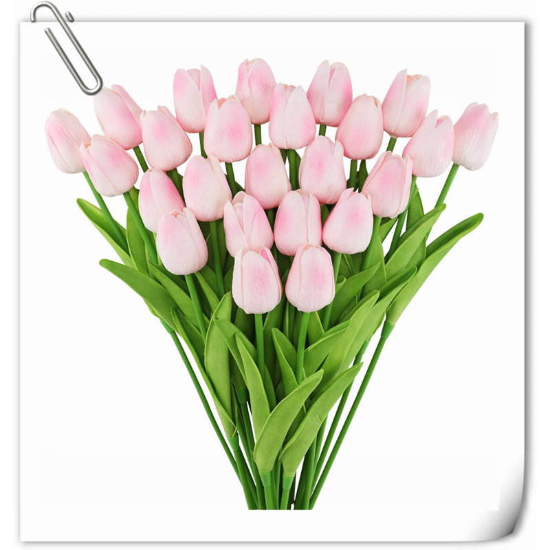 Tulip Arrangement, Rose
