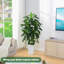 150cm Tree